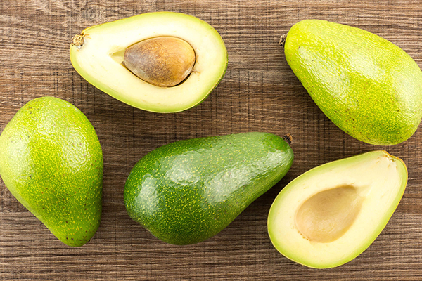 Top Benefits of Growing a Bacon Avocado Tree in Your Garden