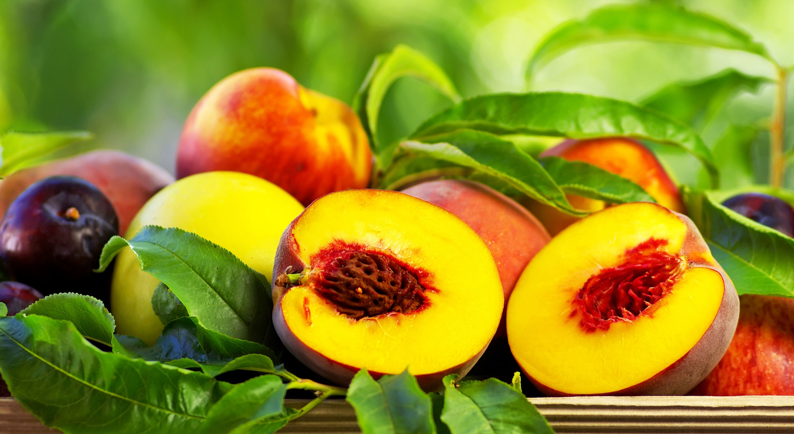 How Far Apart to Plant Fruit Trees for Optimal Growth